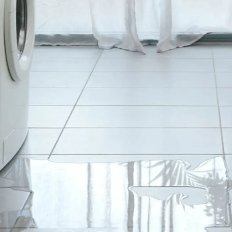 Appliance Leak Cleanup in Wabash County, IN