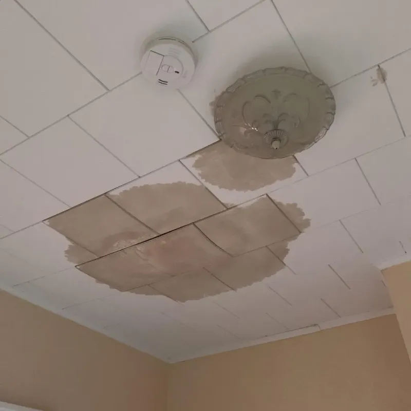 Ceiling Water Damage Repair in Wabash County, IN