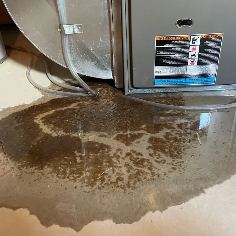 Pipe Burst and Leak Restoration in Wabash County, IN