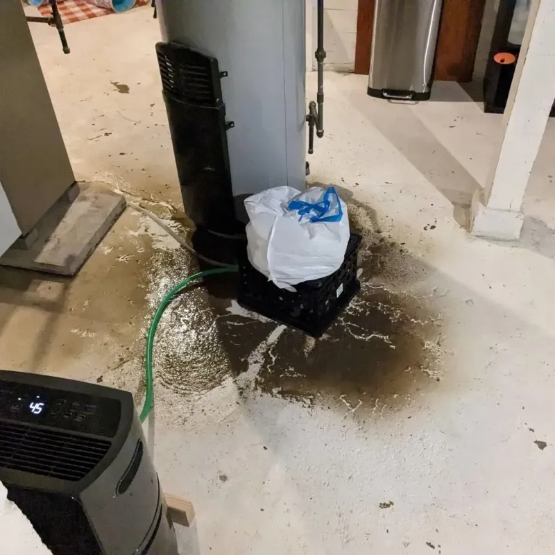 Sewage Backup Cleanup Service in Wabash County, IN
